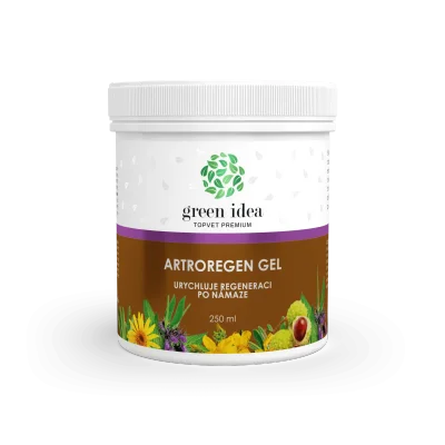 Artroregen masážní gel 250 ml - Green idea