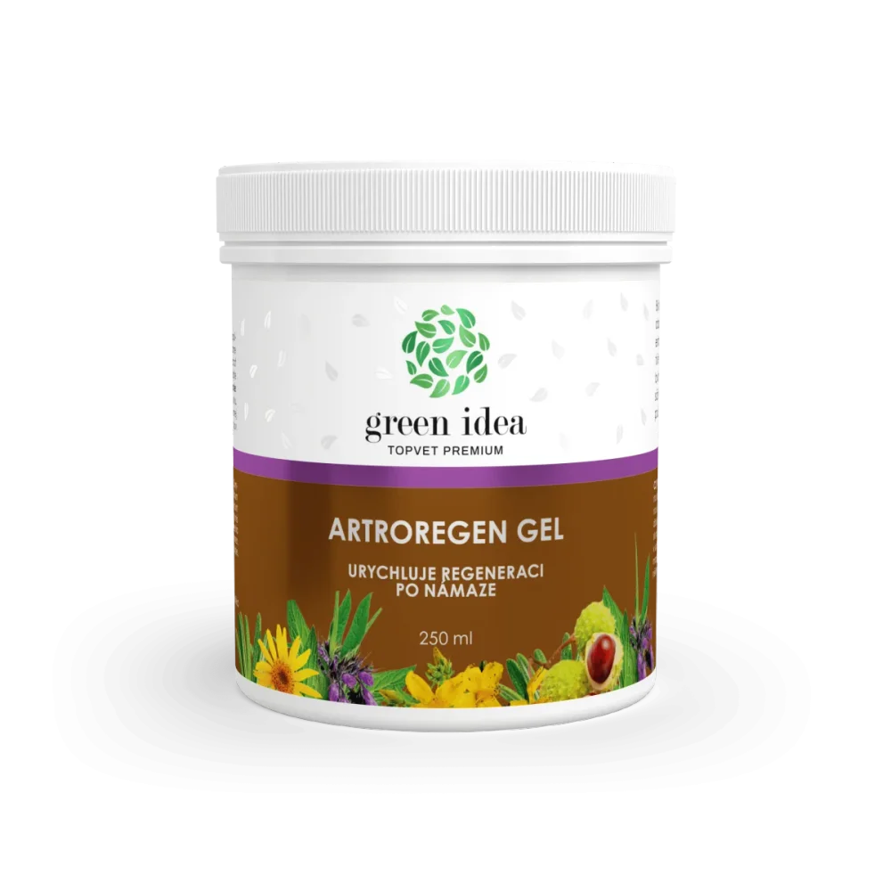 Artroregen masážní gel 250 ml - Green idea