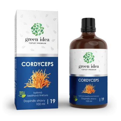 Cordyceps - bezlihová tinktura 100 ml - Green idea