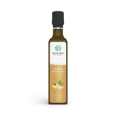 Zázvor sirup třtinový 250 ml - Green idea
